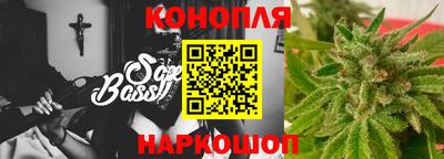прущие крисы Бийск