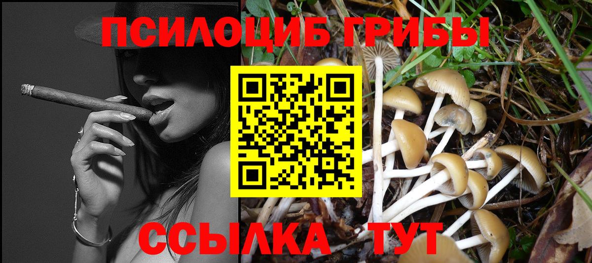 Кимовск  Псилоцибиновые грибы MAGIC MUSHROOMS  Псилоцибиновые грибы Psilocybine cubensis  Вход с VPN 
