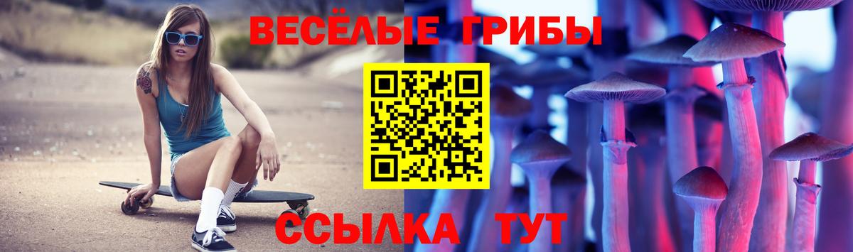 Галлюциногенные грибы Psilocybine cubensis Кимовск